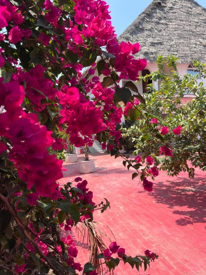 Villa Euphoria - Adults Only Paje Zewnętrze zdjęcie